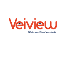 Top 10 Digital Marketing Agencies In Hyderabad 13 Veiview Solutions