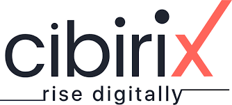Top 10 Digital Marketing Agencies in Indore 8 Cibirix