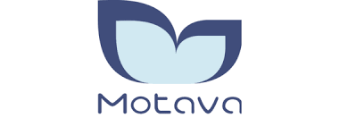 Top 10 Digital Marketing Agencies in San Fransisco 12 Motava