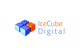 Top 10 Digital Marketing Agencies In Ahmedabad 7 Icecube Digital