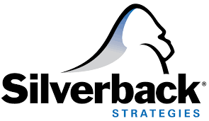Top 10 Digital Marketing Agencies in the USA 8 Silverback Strategies