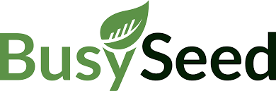BusySeed 