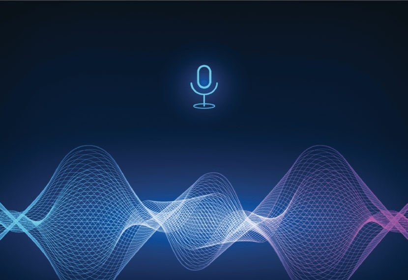 Voice Search Examination