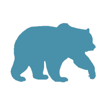 Unveiling the Top 10 Digital Marketing Agencies in Denver: Elevating Brands in the Mile-High City 8 Blue Bear Creative