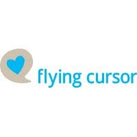 Top 10 Digital Marketing Agencies in Goa 8 Flying Cursor